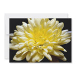 Yellow chrysanthemum custom invites