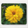 Yellow Chrysanthemum Use Mat