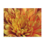 Yellow Chrysanthemum postcards