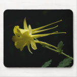 Yellow Columbine Mouse Pad