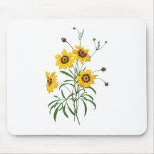 Yellow Coreopsis Elegans by Pierre Joseph Redoute Mouse Pad
