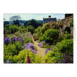 Yellow Cotswold garden flowers Cards
