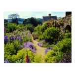 Yellow Cotswold garden flowers Postcards