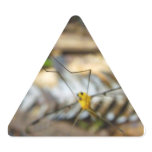 Yellow Cranefly stickers