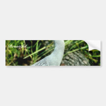 Yellow-crowned Night Heron Bumper Sticker