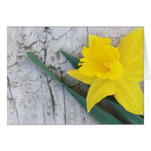 Yellow  Daffodil Card