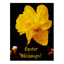 Yellow daffodil easter blessings postcard