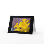 Yellow Daffodil Flowers Greeting Cards Blossoms