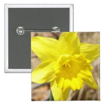 Yellow Daffodil Flowers Square Pin