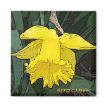 'Yellow Daffodil' Fridge Magnet