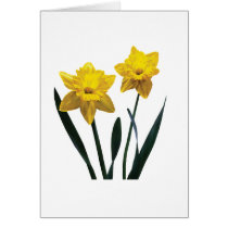Yellow Daffodil Pair Card