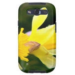 Yellow Daffodils blossoming on a sunny day Galaxy SIII Covers
