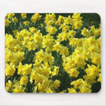 YELLOW DAFFODILS MOUSEPADS