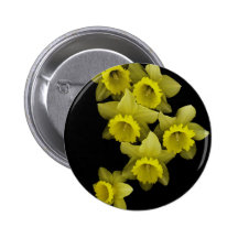 Yellow Daffodils On Black Button