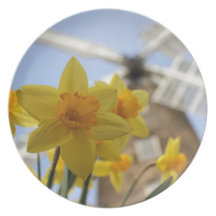 Yellow Daffodils Party Plate