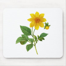 Yellow Dahlia by Pierre Joseph Redoute Mouse Pad