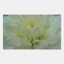 Yellow Dahlia Flower Stickers