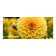 Yellow Dahlia Personalised Announcements