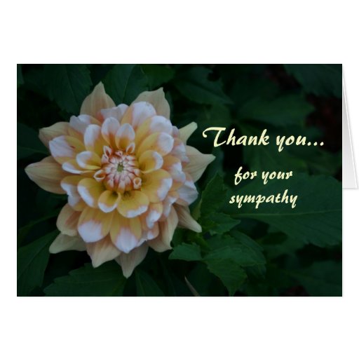 Bulk Sympathy Cards, Photo Card Templates, Invitations & More