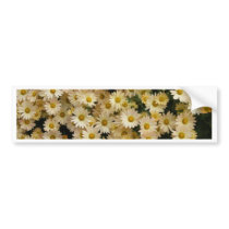 Yellow Daisies Bumper Sticker