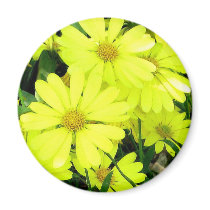 Yellow Daisies Refrigerator Magnet
