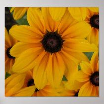 yellow daisies print