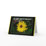 Yellow daisy anniversary cards