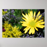 Yellow Daisy Floral Arrangement Print