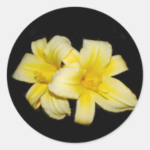 Yellow day lilies sticker