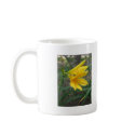 Yellow Daylily 4 mugs