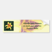Yellow Daylily Flower with Red, Hemerocallis: Bumper Sticker