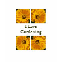 Yellow Devine t-shirts