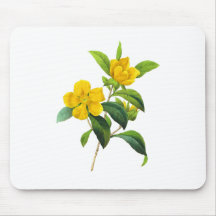 Yellow DiIlinea Scandens by Pierre Joseph Redoute Mouse Pad