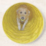 Yellow dog in Yellow tunnel with Yellow ball Beverage Coaster