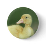 Yellow Duck Pin