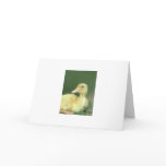 Yellow Duck Greeting Card
