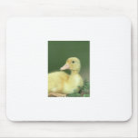 Yellow Duck Mousemats