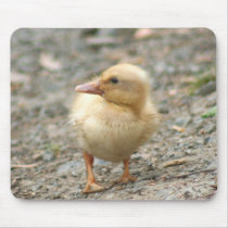 Yellow Duckling mousepad