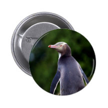 Yellow eyed penguin button