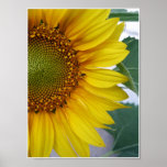 Yellow Faces posters