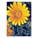 yellow Facing the sun flowers Greeting Card