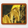 Yellow Fall Leaves Mousepads