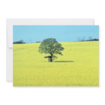 yellow Field of rape in flower flowers invitations