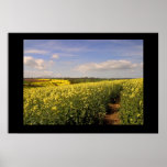 Yellow Field. Poster by cARTerART posters