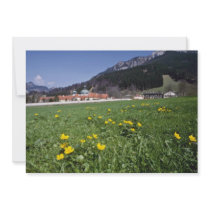 yellow Field With Ettal Monastery, Bavaria flowers Custom Invitations