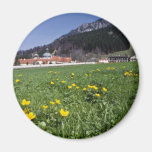 yellow Field With Ettal Monastery, Bavaria flowers Fridge Magnets