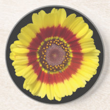 yellow flower beverage coaster