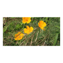 Yellow Flower Garden Customized Photo Card