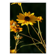 Yellow Flower Greeting Card