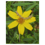 Yellow Flower In the Grass Flyers